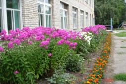 Клумба